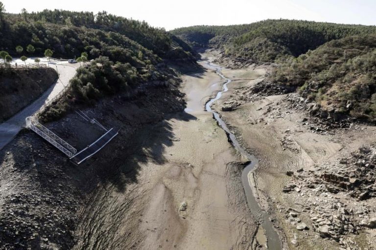 Baixo caudal do Tejo continua a afetar culturas entre Abrantes e Constância – agricultores