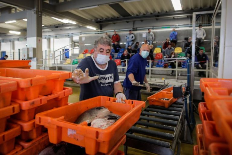 Trabalhadores da Docapesca marcaram greve para 08 de setembro