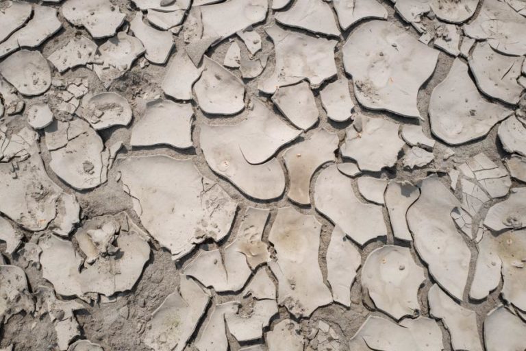 Seca ameaça 12 milhões de pessoas na Síria e no Iraque — alertam ONG