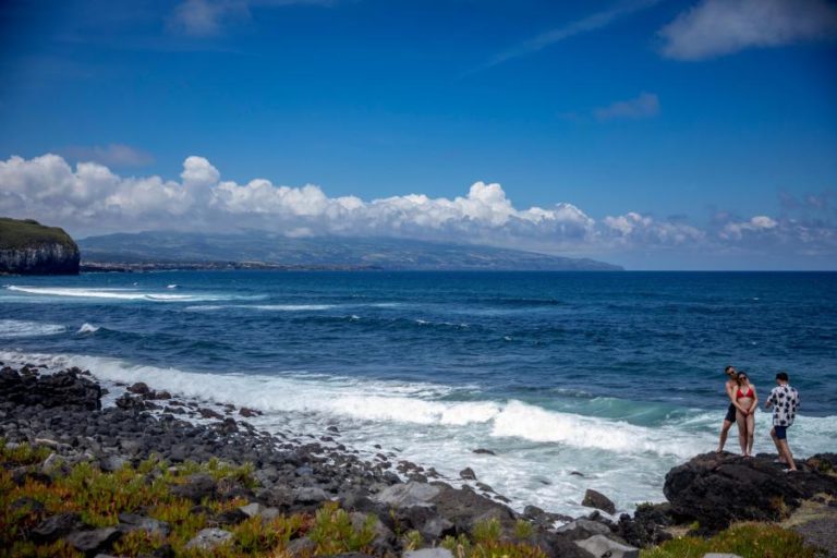 Açores vão ser palco de congresso internacional sobre cânhamo