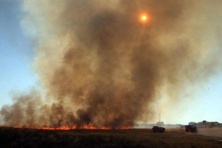 Chamas em Odemira causaram quatro feridos, um dos quais grave