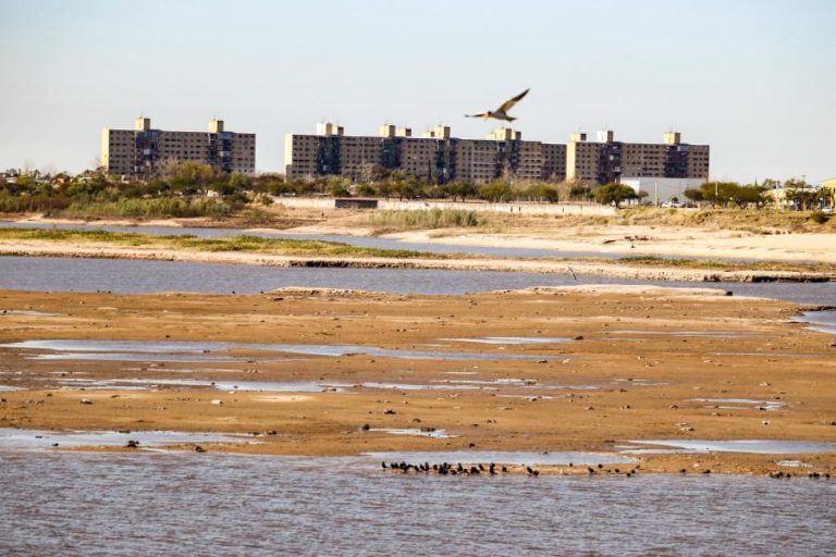Seca no Brasil deixa Rio Paraná no nível mais baixo em 80 anos