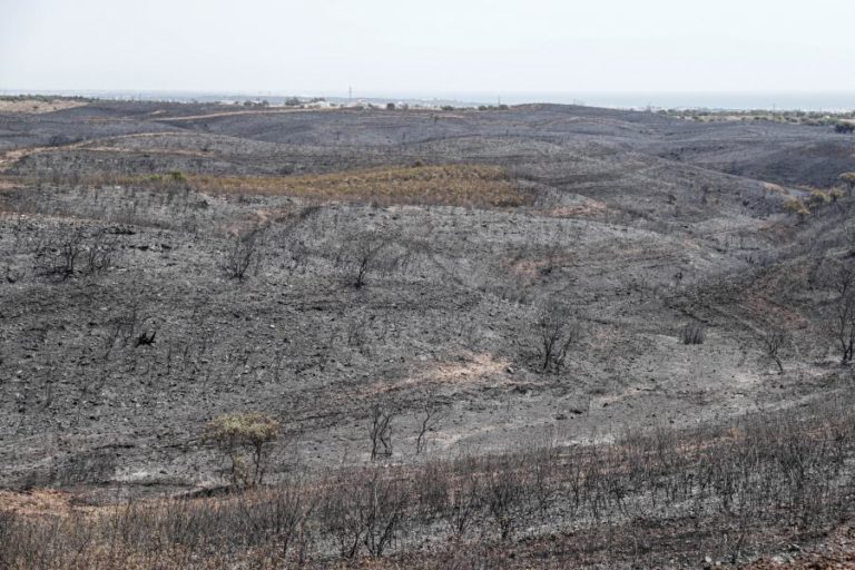 Incêndio de Castro Marim com 57 operacionais em “vigilância ativa”