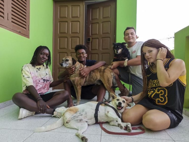 Receitas de hostel no Mindelo ajudam associação cabo-verdiana a defender animais