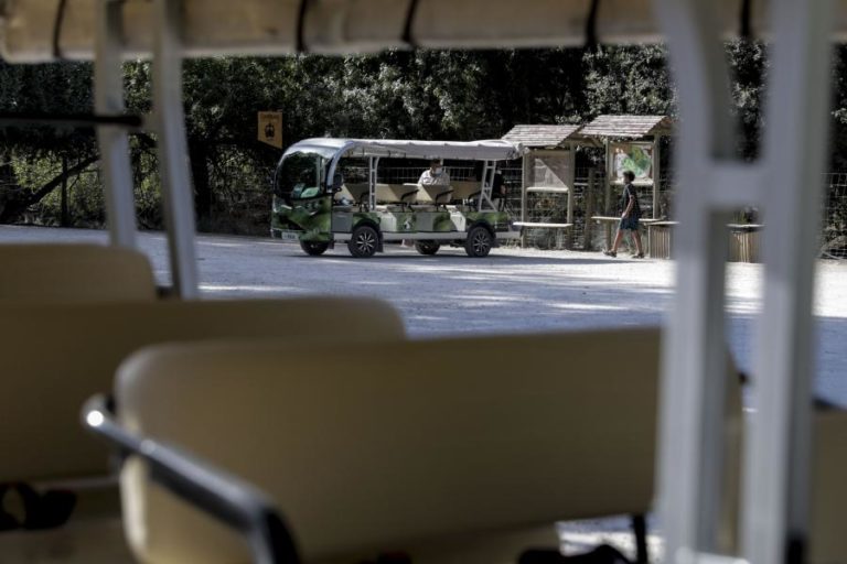 Tapada de Mafra substitui comboio a combustível por veículos elétricos