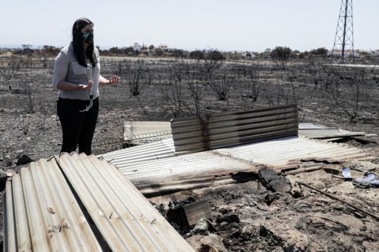 Veterinário municipal sabia de abrigo onde morreram animais – PAN