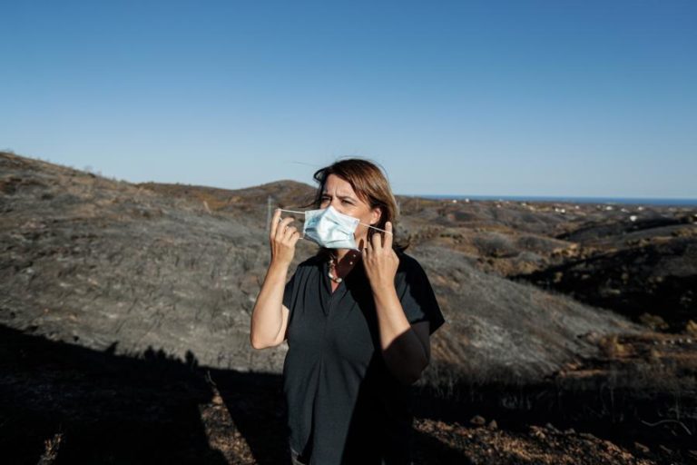 BE defende que é necessário agir no território logo após incêndios