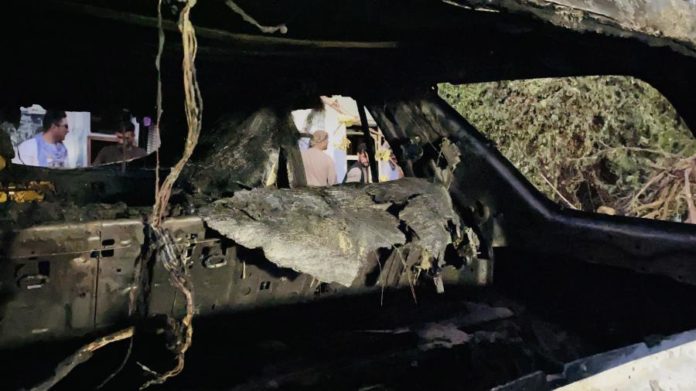 34219764.jpg
