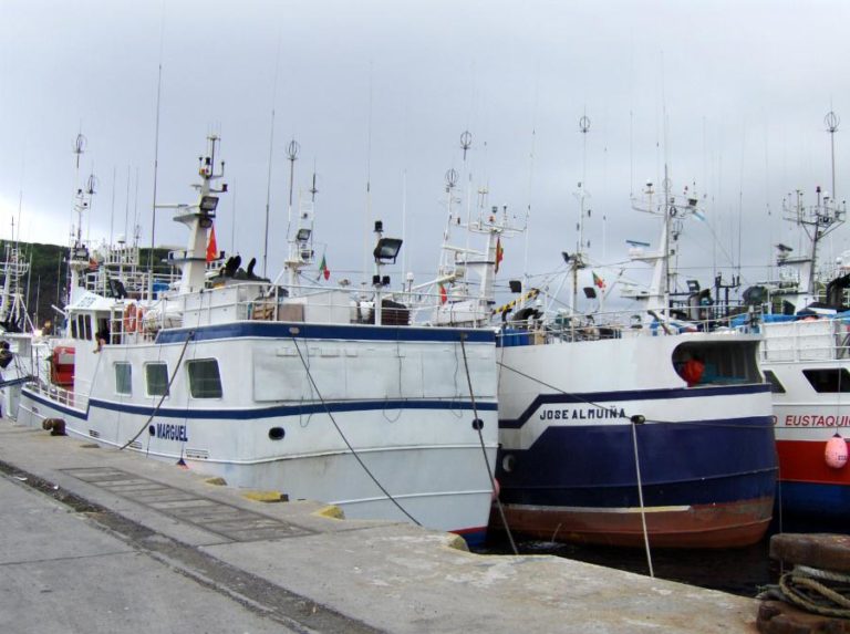 Portos dos Açores com 19,5 ME de volume de negócios em 2020