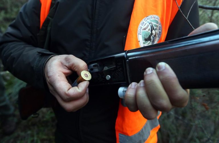 Homem detido em Mirandela por caçar espécies fora do respetivo período de caça
