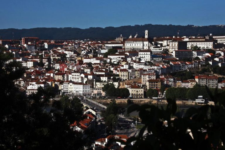 Festival em Coimbra quer mostrar o catálogo da editora Roda Music