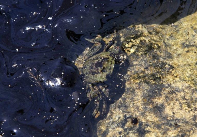 Mancha de petróleo ameaça costa norte de Chipre