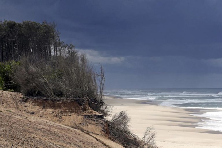 Em breve teremos de começar a retirar pessoas da orla costeira do Norte – especialista