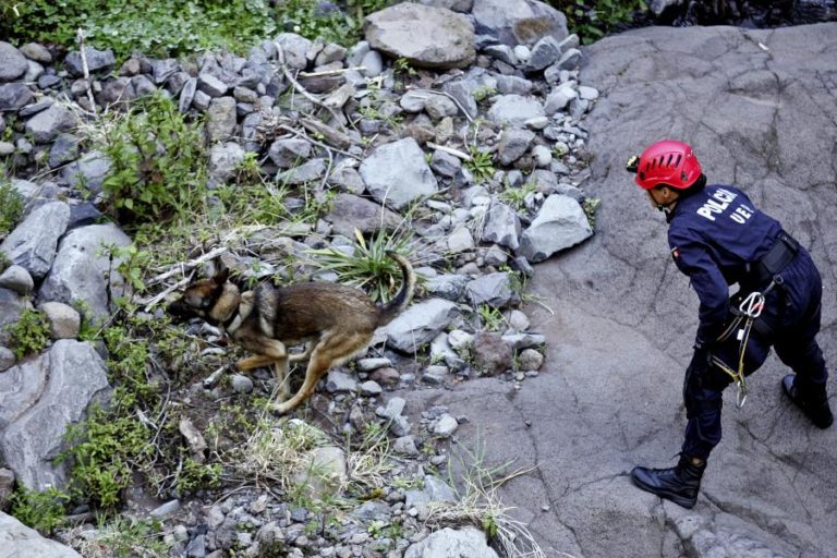 Cidadão francês está desaparecido na Madeira – PSP