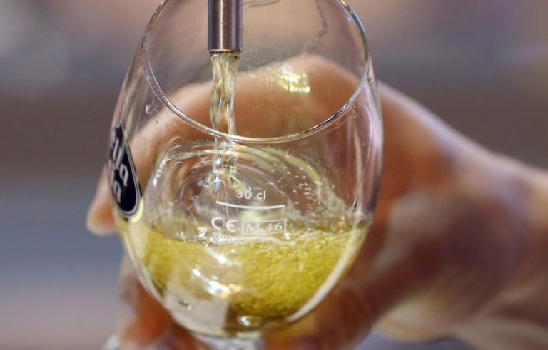 Setor cervejeiro vale cerca de 1,5% do PIB