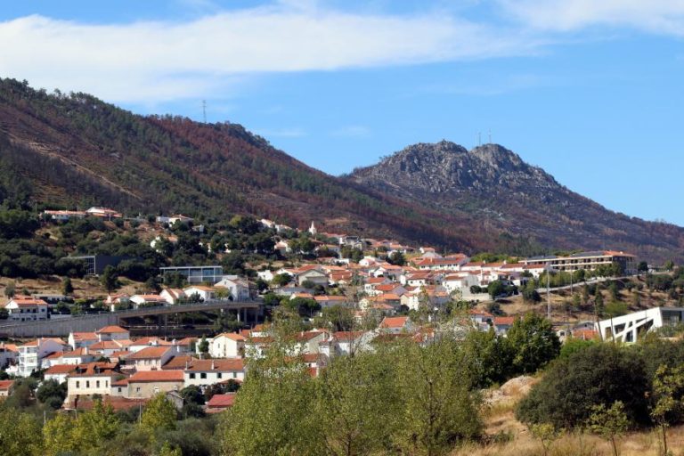 Encontro literário “Poesia, Um Dia” regressa a Vila Velha de Ródão no dia 18
