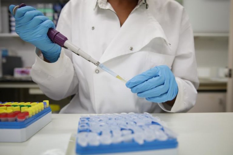 Nova imunoterapia com origem portuguesa está a ser testada nos EUA