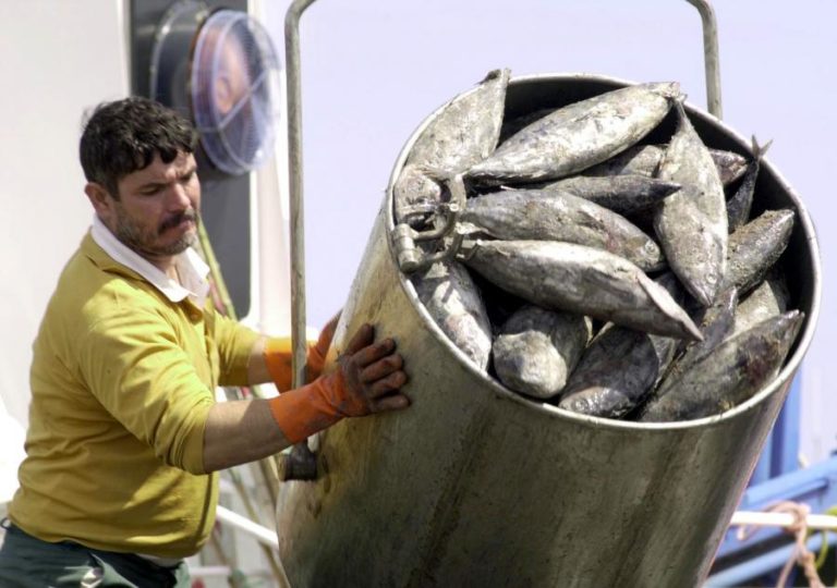 Pesca de atum patudo interdita a partir de segunda-feira