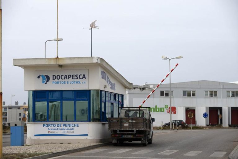 Trabalhadores da Docapesca em greve contra chumbo do Governo a aumentos salariais