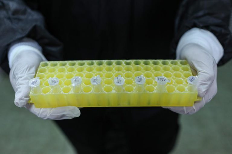 Covid-19: Mais 16 infeções e sete recuperações em São Tomé e Príncipe