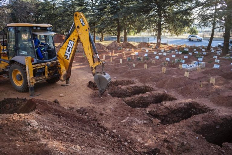 Covid-19: África com mais 251 mortes e 6.647 infetados nas últimas 24 horas