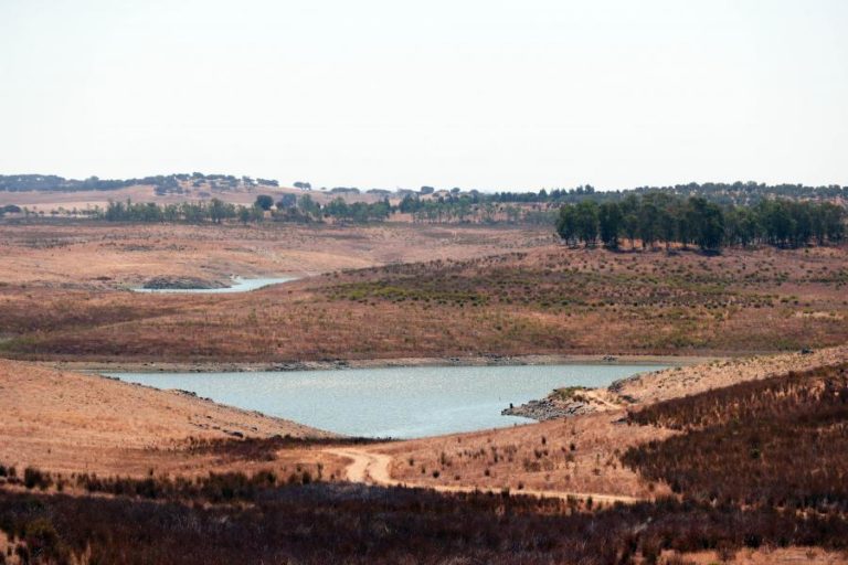 Mês de julho foi frio e seco em Portugal continental – IPMA