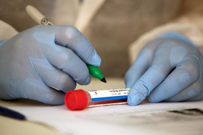 29582143.jpg
