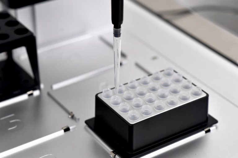 Covid-19: Ministro da Educação alerta para importância da testagem nas escolas