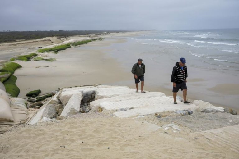 Praias na Figueira da Foz vistoriadas após avistamento de tubarões