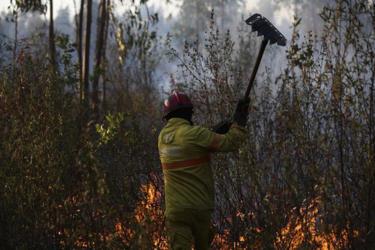 Onze concelhos de Faro e Santarém com risco muito elevado de incêndio