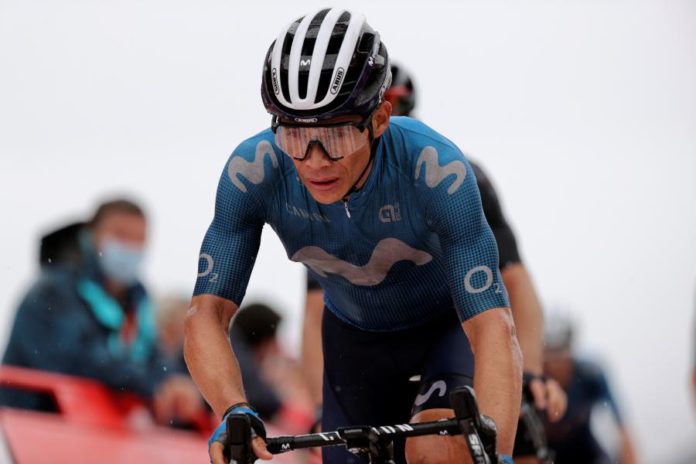 34239288.jpg