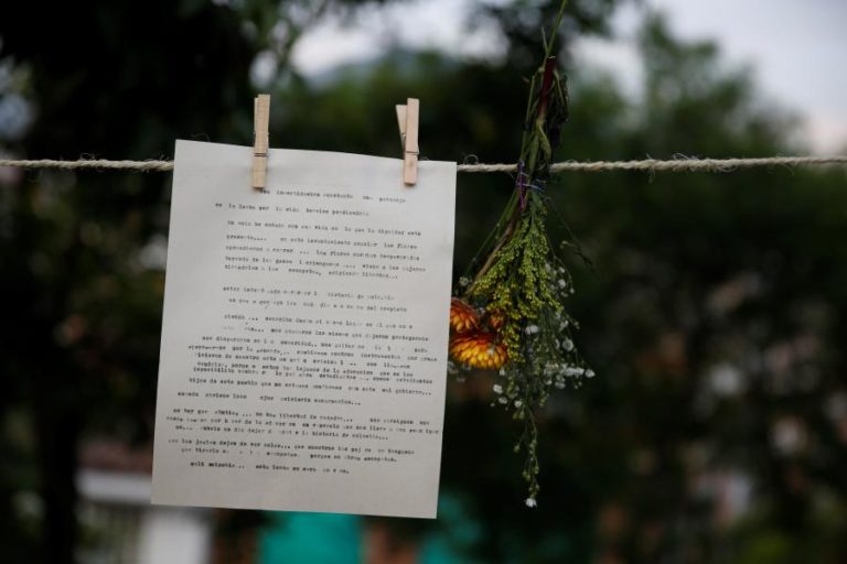Alemanha/Eleições: Iniciativa “cartas dos netos” quer os mais velhos a votar pelo ambiente