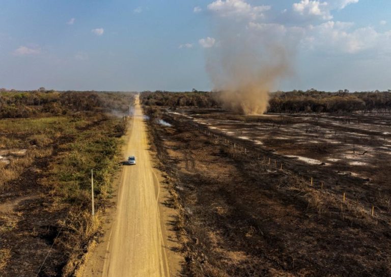 Incêndios voltam a ameaçar biodiversidade do Pantanal brasileiro