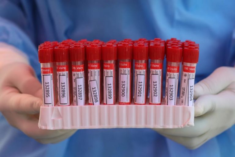 Covid-19: DGS confirma 31 surtos ativos em creches, ATL e jardins de infância