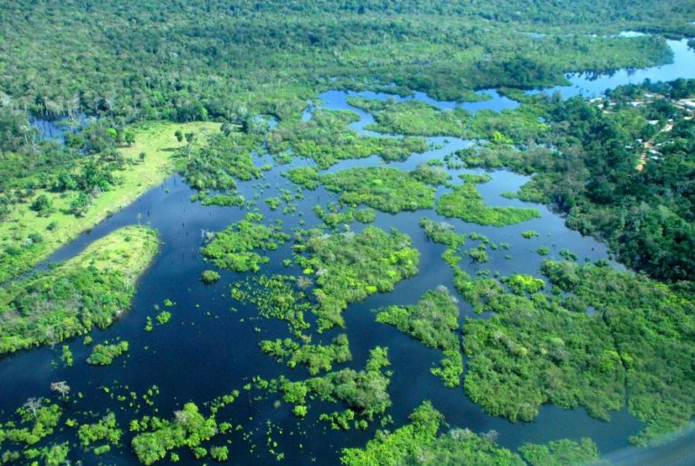 Uma revolução sustentável tenta irromper na Amazónia brasileira