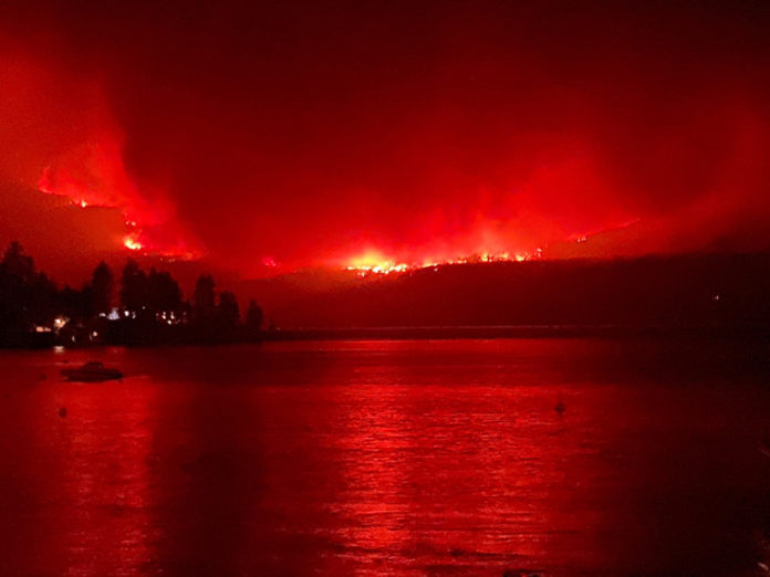 FOTO: TWITTER @Skink00ts