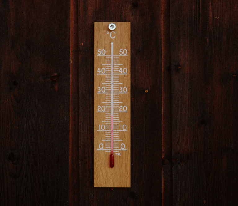 Foto: Bianca Ackermann/Unsplash