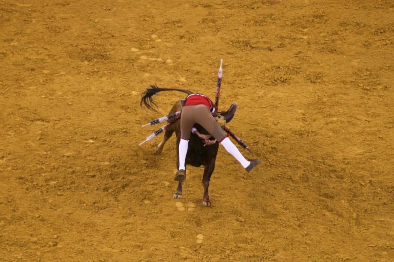 Idade mínima para assistir a touradas passa de 12 para 16 anos