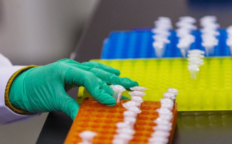 Estudo indica que vírus da hepatite B já circula há milénios entre os humanos