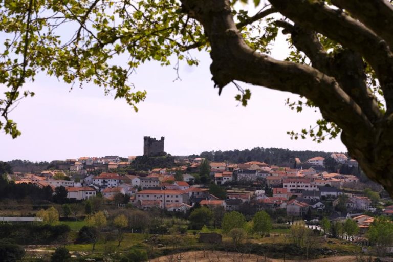 Covid-19: Penedono é o único concelho em risco extremo de infeções – DGS