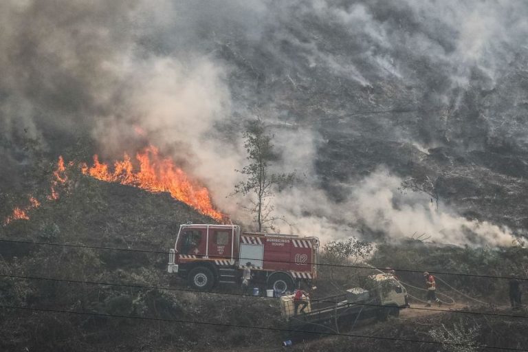 Portugal foi o segundo país da UE mais afetado por fogos florestais em 2020