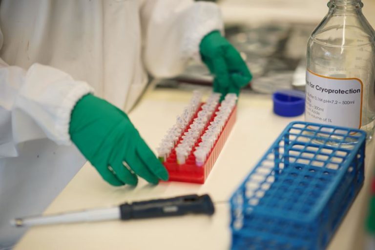 Covid-19: Sublinhagem da variante Delta sem tendência crescente em Portugal