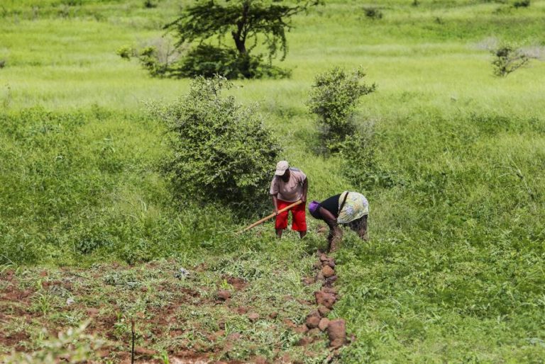 Cabo Verde com ano agrícola próximo do normal ainda espera mais chuvas em outubro