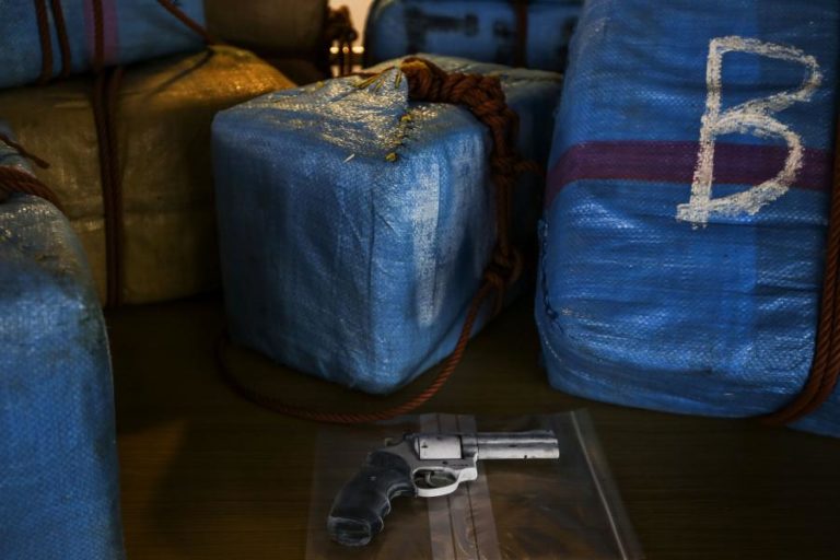 PJ apreende mais de 54 mil doses de haxixe e mais de mil doses de cocaína em Ponta Delgada