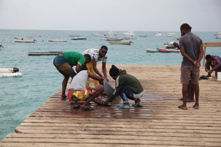 Covid-19: Cabo Verde com duas mortes e 23 novos casos em 24 horas
