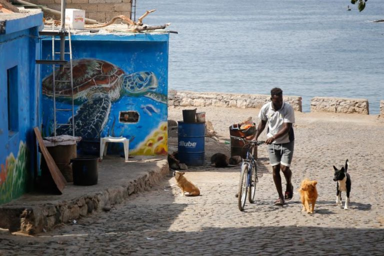 Covid-19: Cabo Verde com 31 novos infetados e 42 recuperações