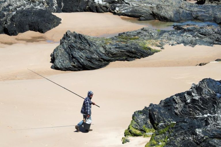 Licenciamento da pesca automático mas interessados têm que responder a inquérito – DGRM