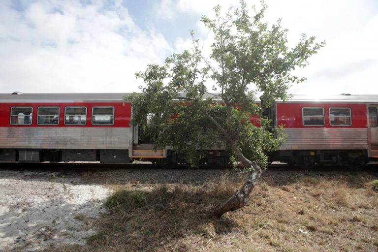 Governo quer que concorrentes façam “grande parte” dos novos comboios da CP em Portugal