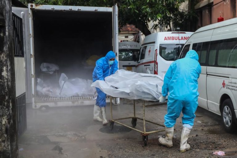 Covid-19: Pandemia já matou 4.798.207 pessoas em todo o mundo
