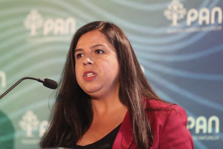 OE2022: PAN propõe ao Governo 280ME para combater pobreza energética